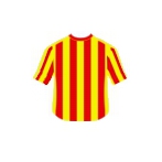 Maglia di Allariscossa